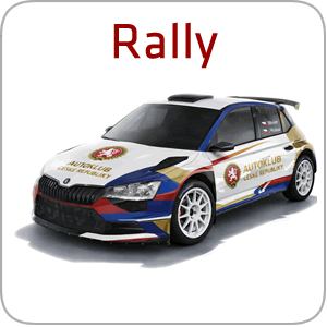 rally300